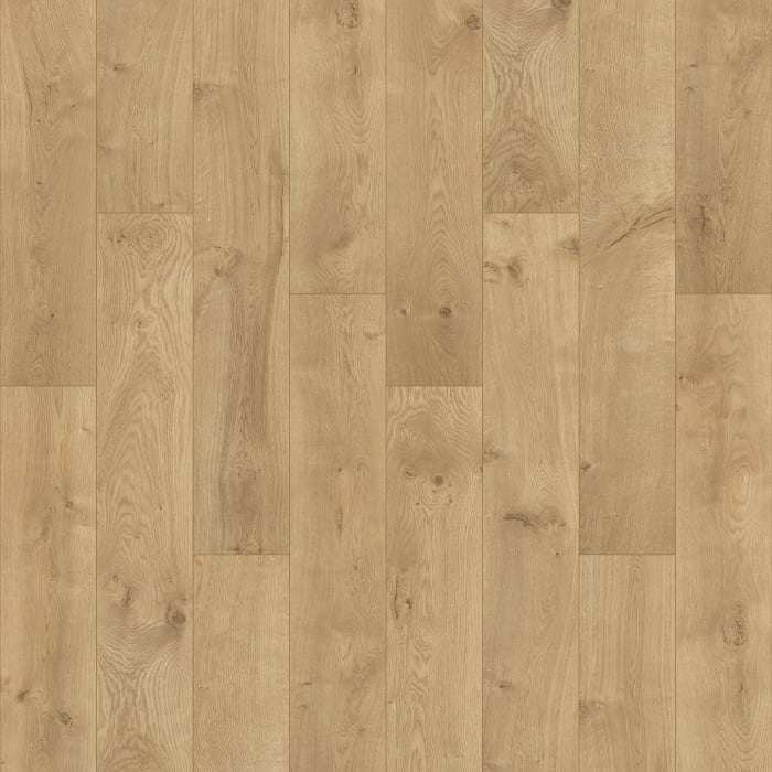 PSR10-138 - Desert Oak