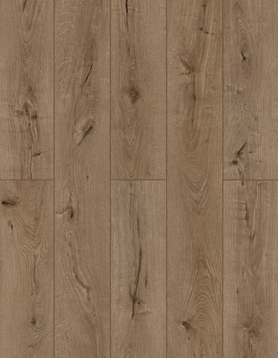 LI-TS205 - Forgotten Bark