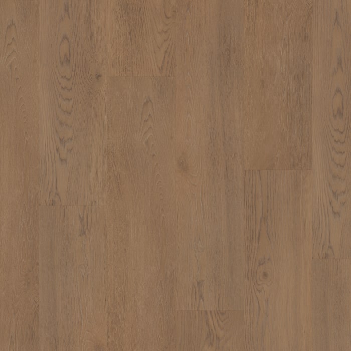 VV800-02036 - Fairhaven Oak