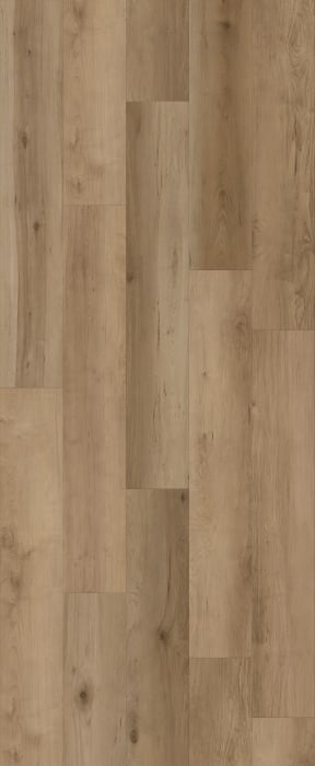 LI-CH14 - Lions Floor - Comfort Heights - Maple Gardens