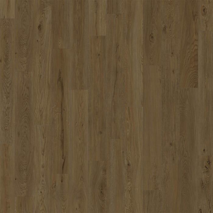 D2026-6212 - Biscayne