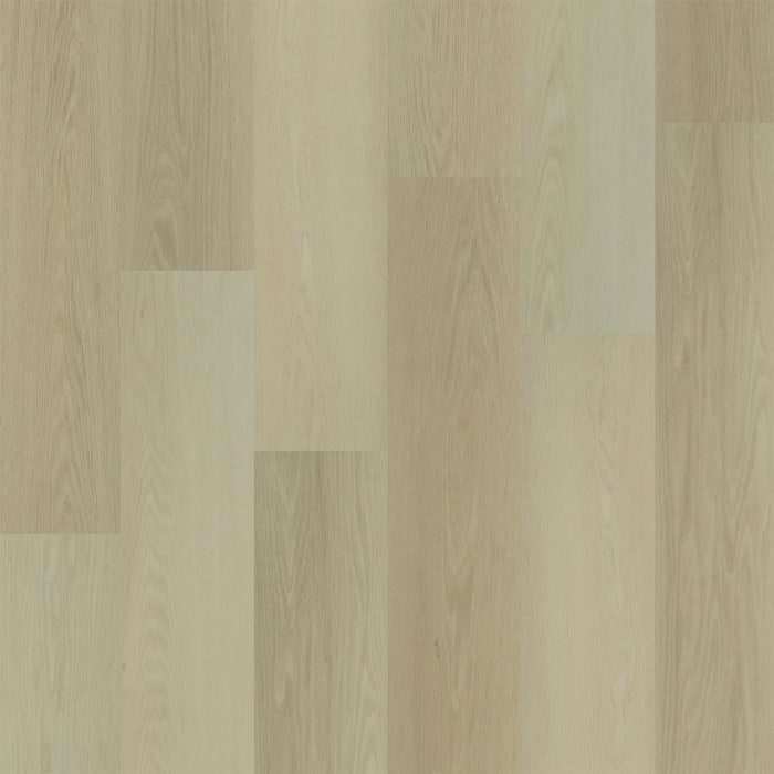 WP020-2005 - Brookstone