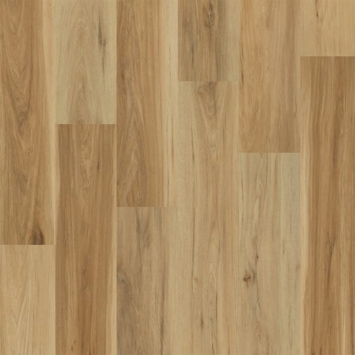WP021-2101 - Sonesta