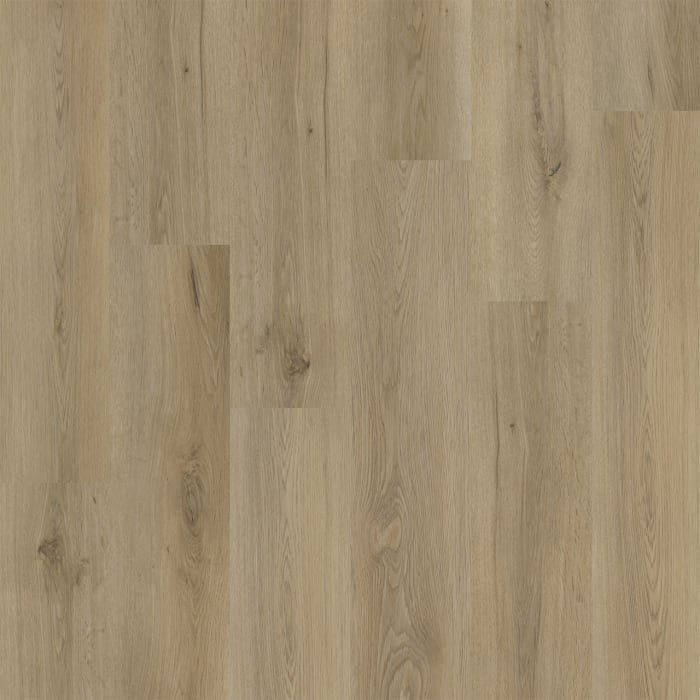 WP021-2104 - Edgewood