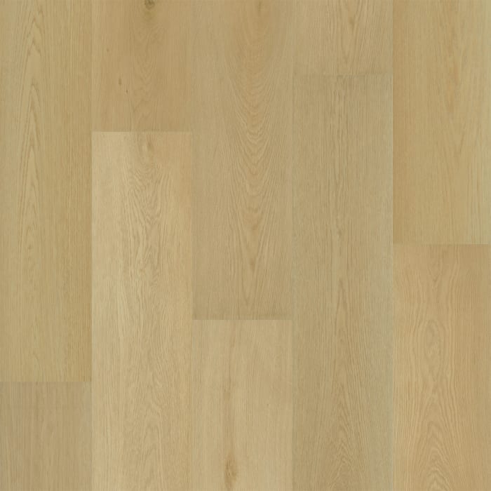 R018-8005 - Macadamia