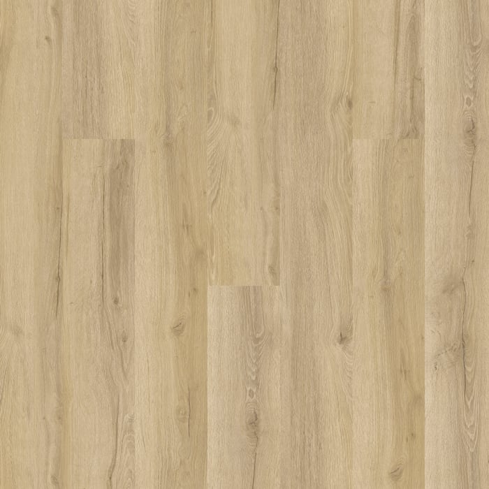 R014-4031 - Rio