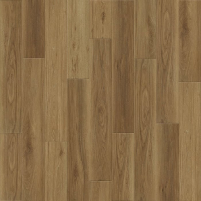 L055-5504 - Arden