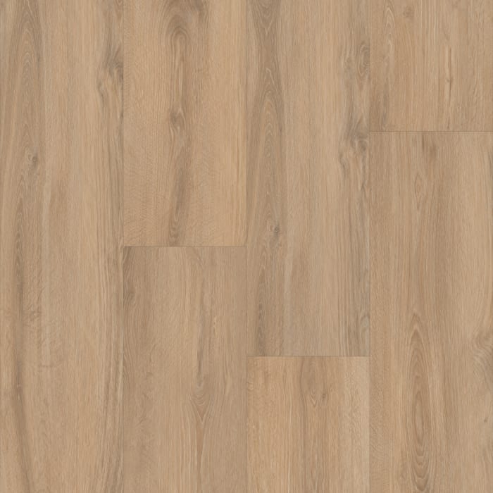P2248-MC293 - Moncton Oak