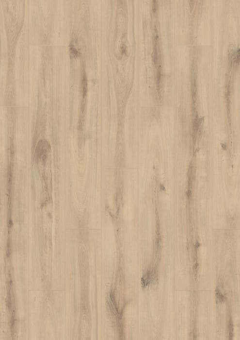 MGBF2580 - Dusky Cypress