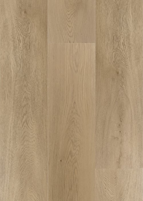AB23971GD20ML3M - Daltile ProSeries - Asher Bend Flexible Glue Down 3mm 20 mil - Hearth