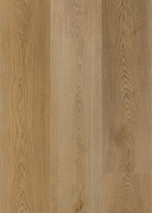 AB24971GD12ML2M - Daltile ProSeries - Asher Bend Flexible Glue Down 2mm 12 mil - Manor