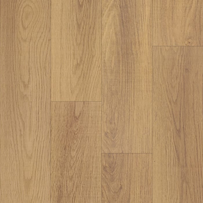 P2249-M1816 - Windsor Oak