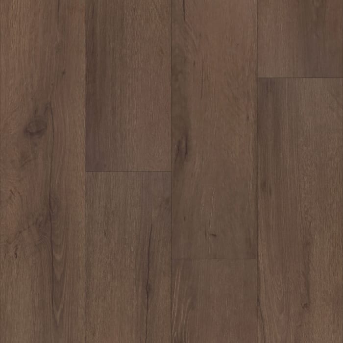 P2249-M5053 - Amherst Oak