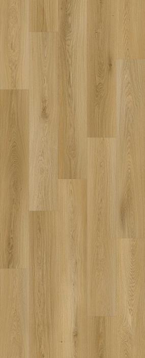 LI-HH05 - Elm Terrace