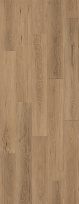 LI-HH03 - Lions Floor - Haven Heights - Pinecrest Walk