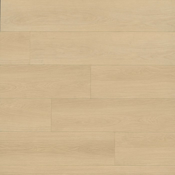 VTLHOUTRA9X87-12MM - Houston Trail