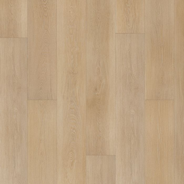 PT027-244 - swatch