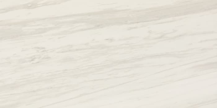 PT201224A1LF - swatch