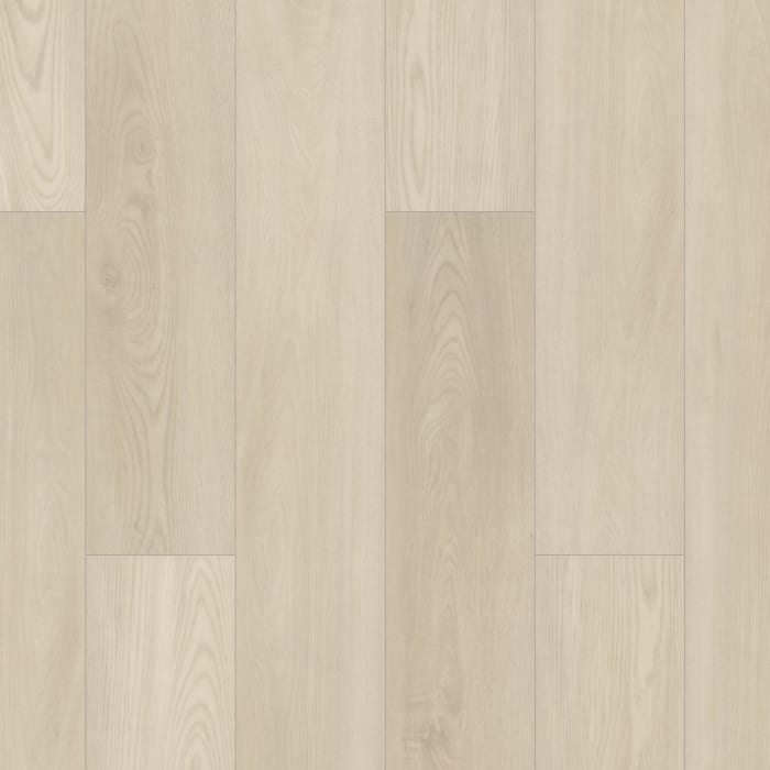 01055_0278V - Shaw Luxury Vinyl Pro Series - Paladin Plus - Silver Dollar