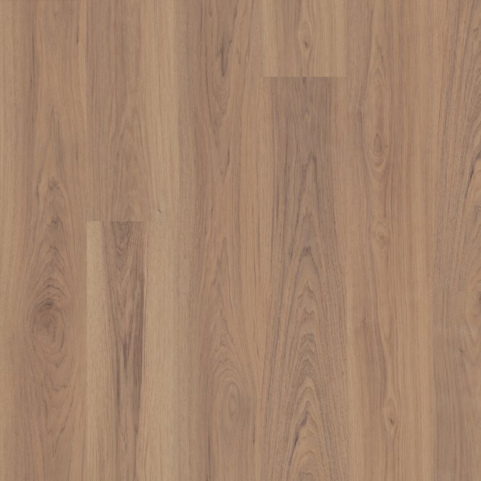 3800V_02170 - swatch