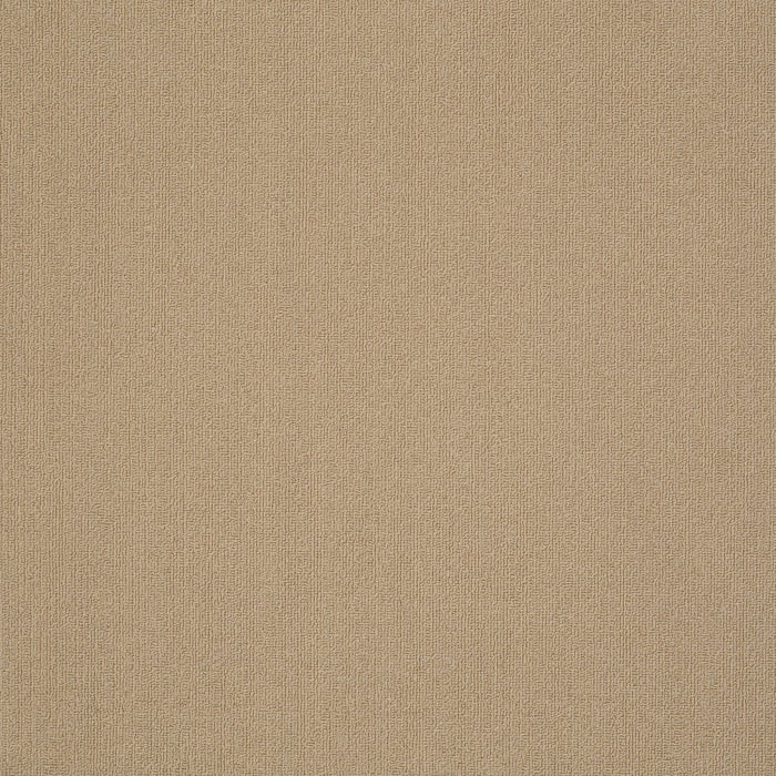 54462_62171 - swatch