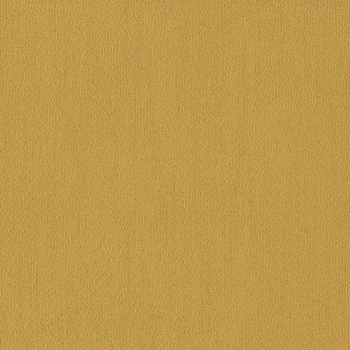 54462_62210 - swatch