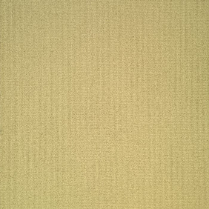 54462_62255 - swatch