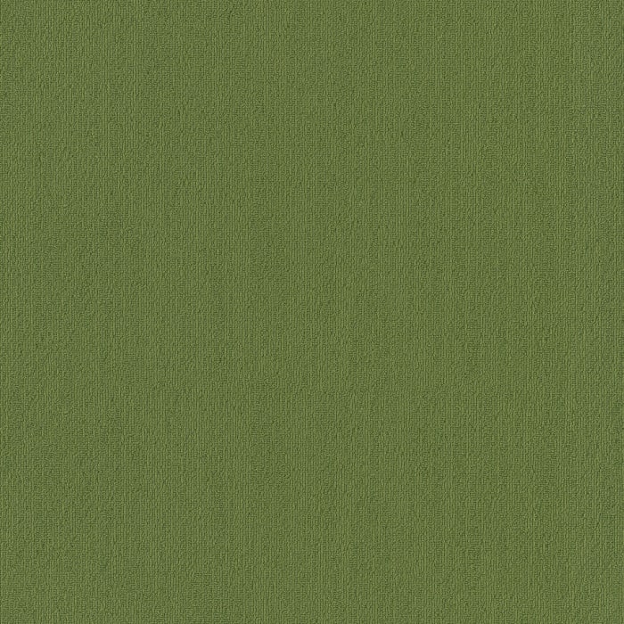 54462_62350 - swatch