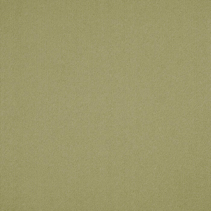 54462_62545 - swatch