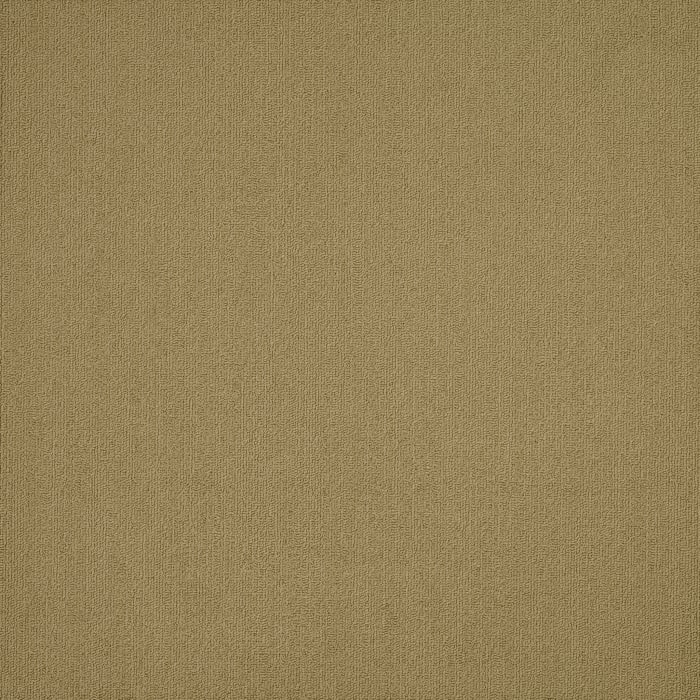 54462_62546 - swatch