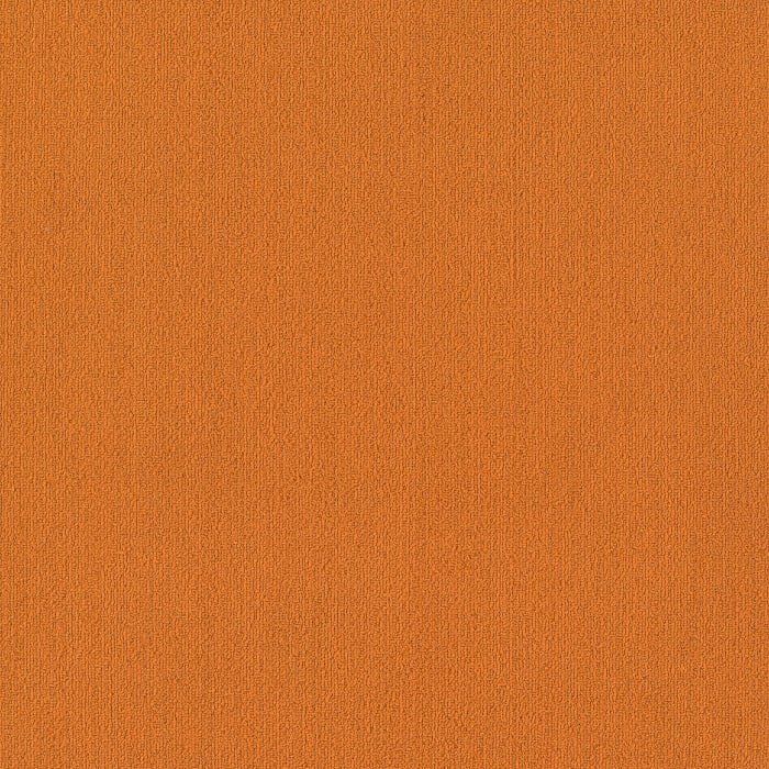 54462_62675 - swatch