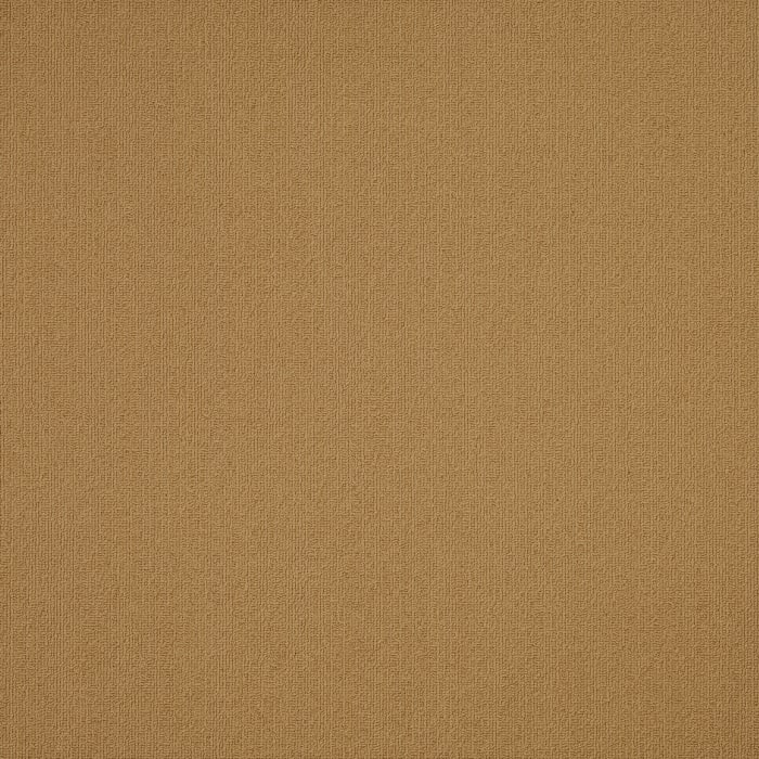 54462_62725 - swatch