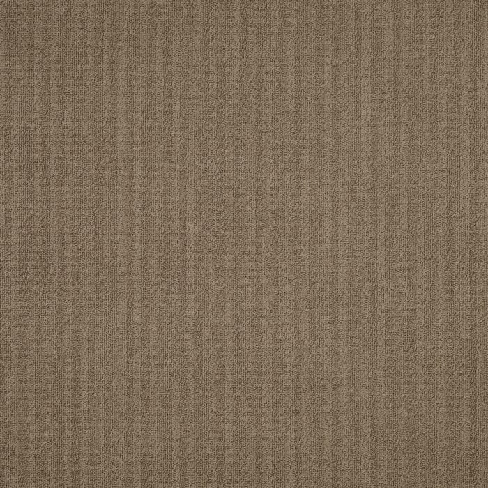 54462_62761 - swatch