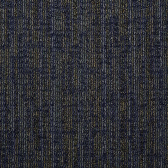 54491_91490 - swatch