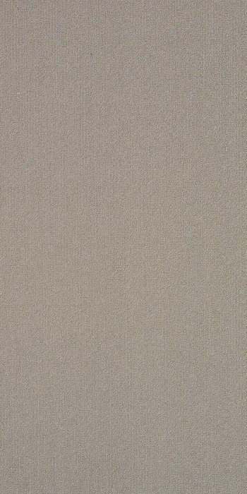 54786_62155 - swatch