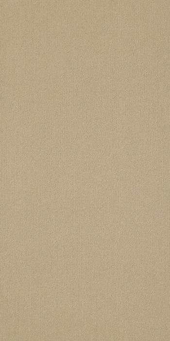 54786_62706 - swatch