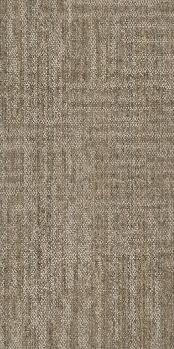 54843_00200 - Philadelphia Contract - Beyond Basic - Raw Beauty - Astute