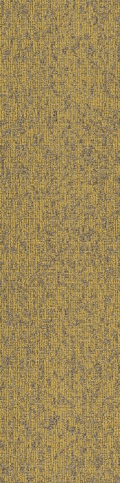 54847_00220 - swatch