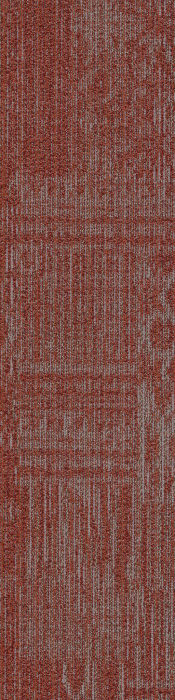 54875_00801 - swatch