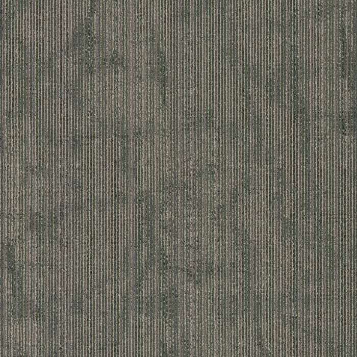 54895_00300 - swatch