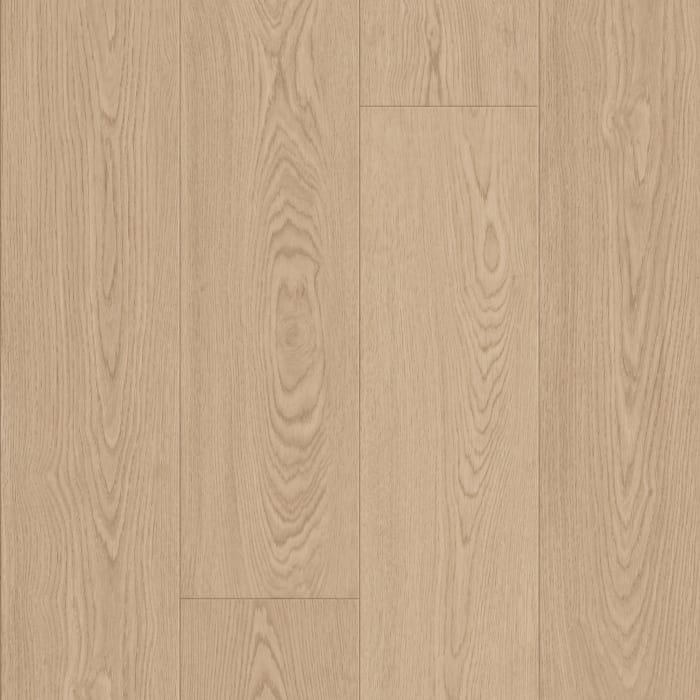 SL123_02218 - swatch