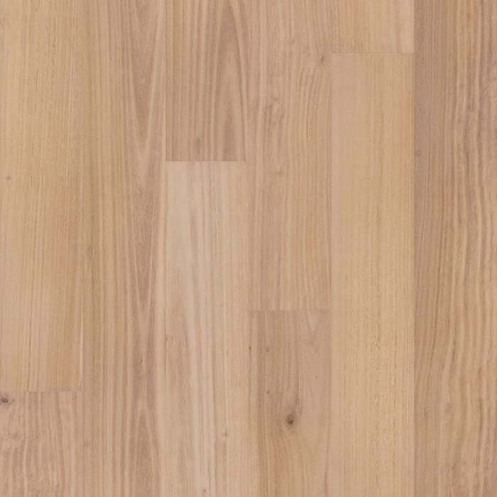 SW790-01176 - Shaw - Bridgewater Eucalyptus - Coral Sand