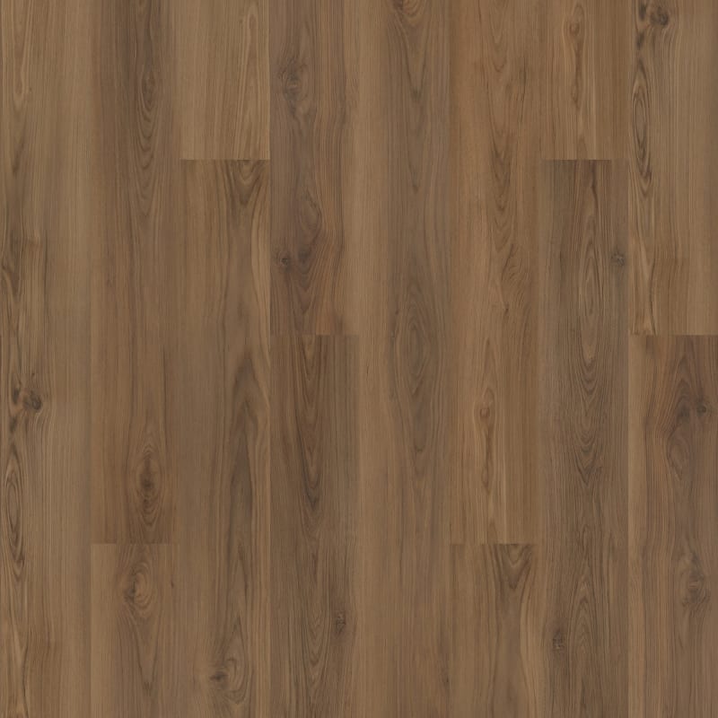 SDP10-855 - Mohawk Solidtech Plus - Barker Hollow - Ranger