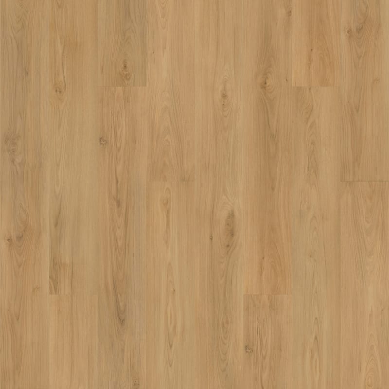 SDP10-241 - Mohawk Solidtech Plus - Barker Hollow - Daisy