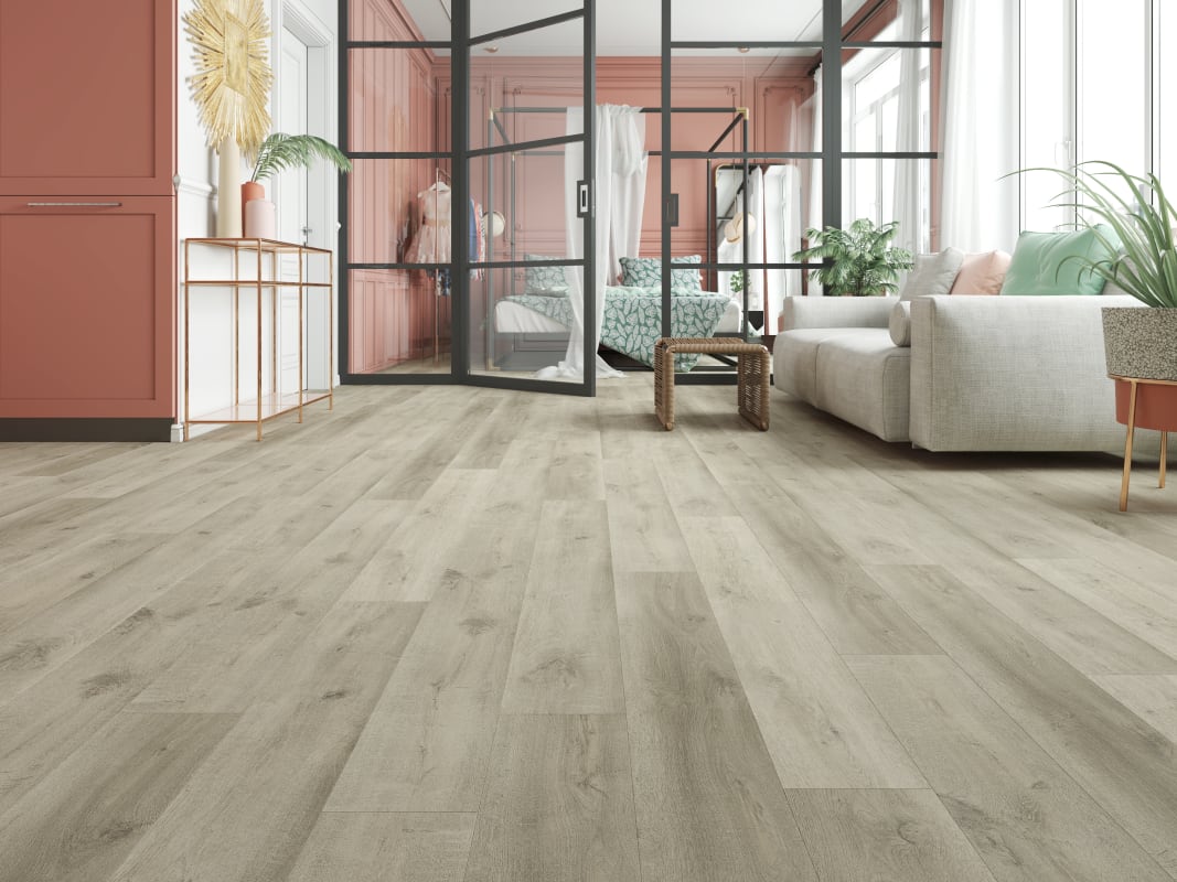 BB-VII - Lions Floor - Bambino SPC - Rivoli