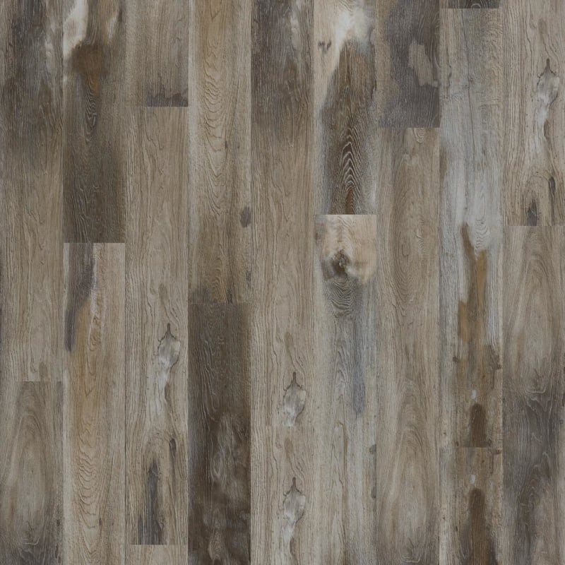 ECS21-259 - Mohawk SolidTech Select - Explorer's Cove - Raccoon
