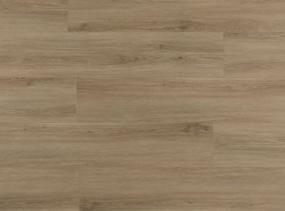 LI-SP01 - Lions Floor - Trenta SPC - Candela Amber