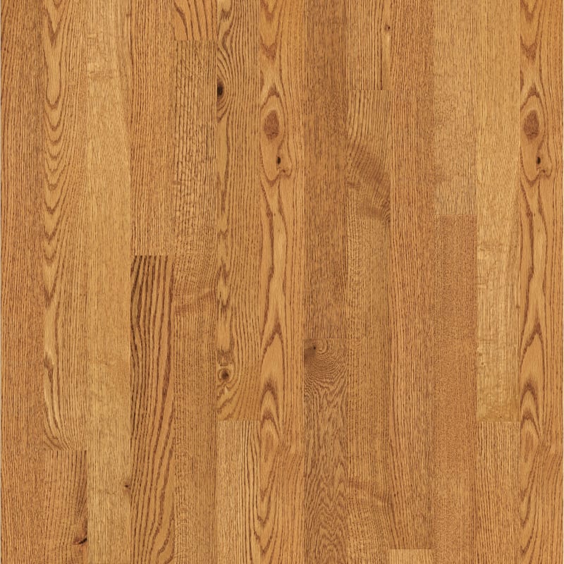 SW785-02080 - Shaw Repel - Lineage Oak 3" - Honey