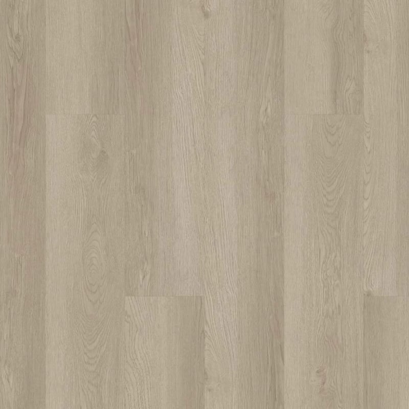 02029-3365V - Shaw - Infinite LL - Pampas