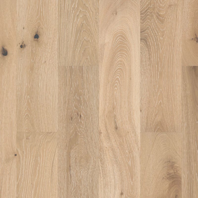 SW485-00146 - Shaw - Castlewood Oak - Tapestry